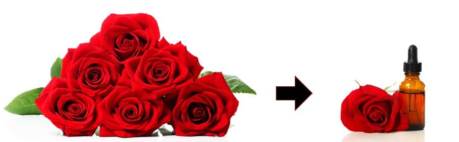 tinh dầu hoa hồng thơm